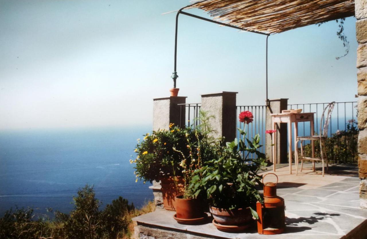 Cottage La Casa Del Pittore Reggimonti Luaran gambar