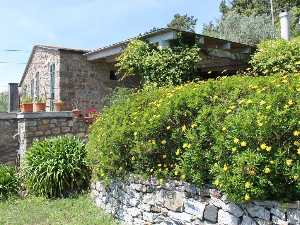 Cottage La Casa Del Pittore Reggimonti Luaran gambar